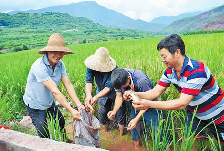 22_副本.jpg 22_副本.jpg