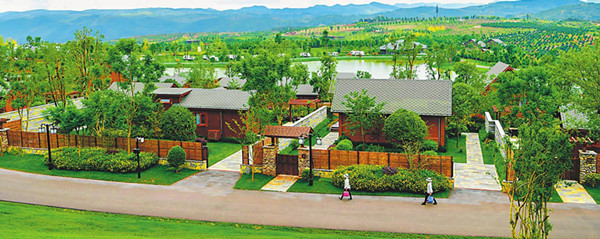 0_副本.jpg 0_副本.jpg