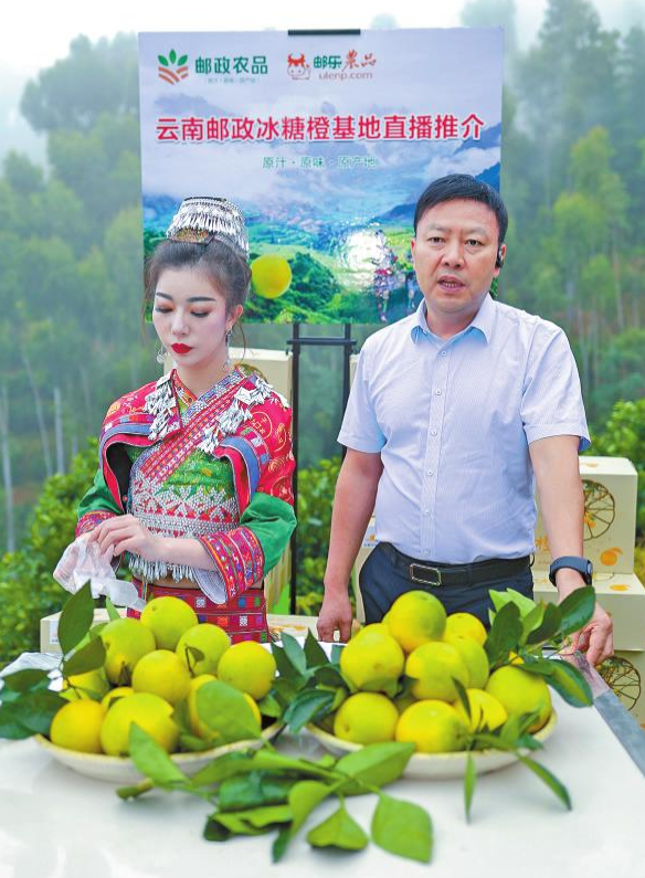 QQ截图20201103105129.png