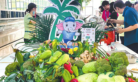 来宾就餐接待点的玉溪绿色食品展区。.jpg