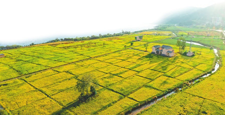 157046_990x40960.jpg 157046_990x40960.jpg