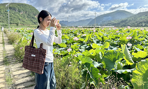 夏日旅游热