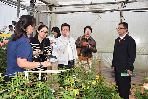 “司法护航云花盛放”全媒体采访活动走进玉溪.jpg