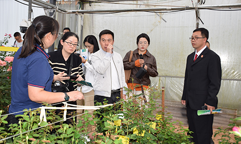 “司法护航云花盛放”全媒体采访活动走进玉溪