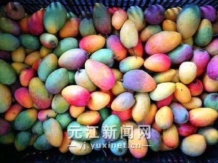 微信图片_20170615095356