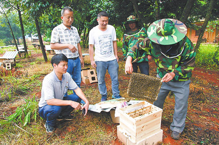 4_副本.jpg 4_副本.jpg