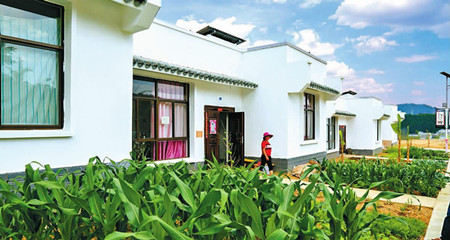 49_副本.jpg 49_副本.jpg