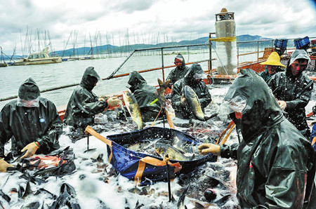 6_副本.jpg 6_副本.jpg