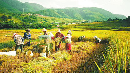 4_副本.jpg 4_副本.jpg