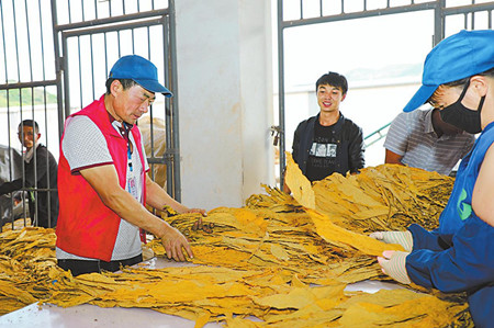 6_副本.jpg 6_副本.jpg