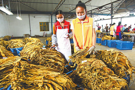 5_副本.jpg 5_副本.jpg