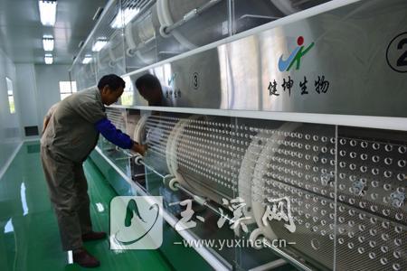 南片区：健坤生物生产调试中