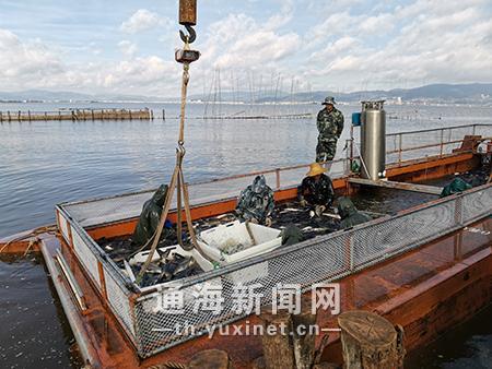 L_1572419446509620259