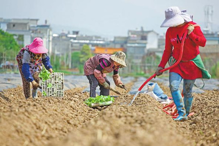 7_副本.jpg 7_副本.jpg