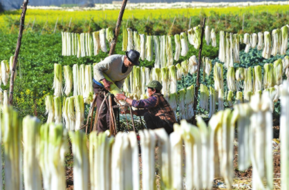 QQ图片20220311091754.png QQ图片20220311091754.png