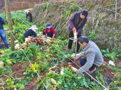 QQ图片20220311091820.png QQ图片20220311091820.png