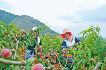 QQ图片20220628082505.png QQ图片20220628082505.png