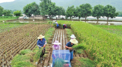 QQ图片20220628082529.png QQ图片20220628082529.png