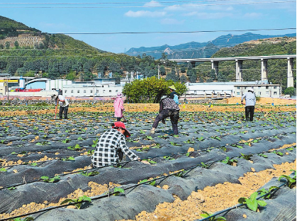 QQ图片20230531085914.png QQ图片20230531085914.png