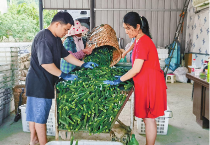 QQ图片20230615083830.png QQ图片20230615083830.png