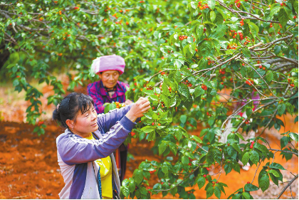 QQ图片20240411083743.png QQ图片20240411083743.png