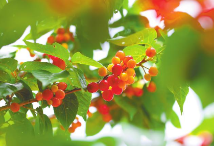 QQ图片20240411083756.png QQ图片20240411083756.png