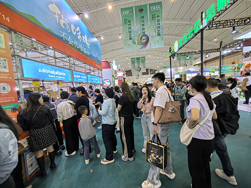 玉溪农产品闪耀南博会.jpg