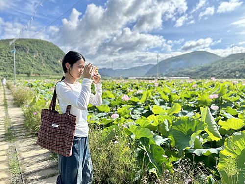 夏日旅游热.jpg