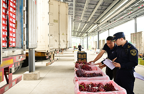 海关护航贸易畅行.jpg