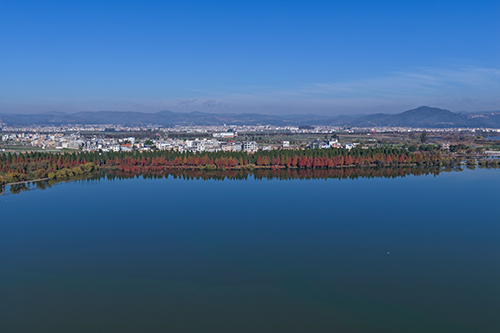 冬日玉溪 美韵尽显.jpg