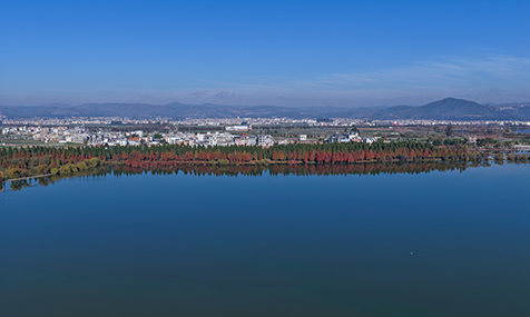 冬日玉溪 美韵尽显