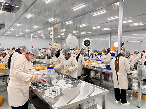 澄江设施农业蹚出高原特色农业发展新路子.jpg 澄江设施农业蹚出高原特色农业发展新路子.jpg