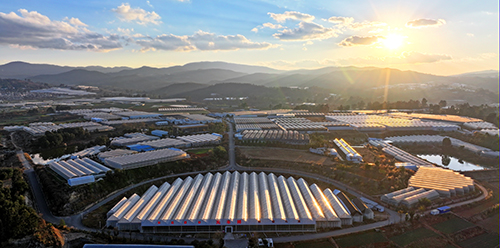 玉溪设施农业建设迈出坚实步伐.jpg 玉溪设施农业建设迈出坚实步伐.jpg