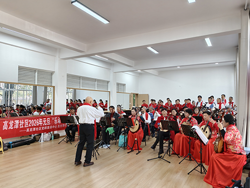 高龙潭社区举办元旦音乐会.jpg
