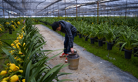 我市积极应对低温天气