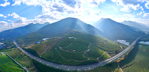 荒山披绿装 硕果满枝头.jpg