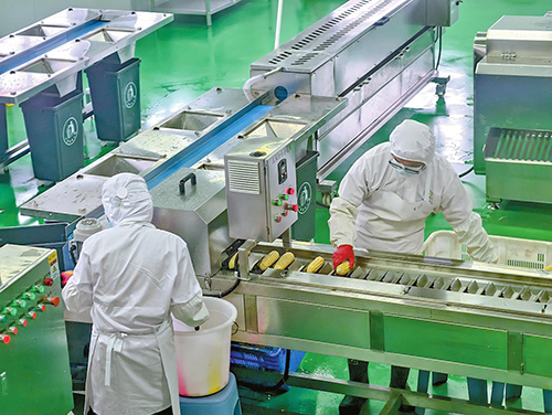 加工基地搭桥梁 玉溪蔬菜“鲜”到江浙沪.jpg