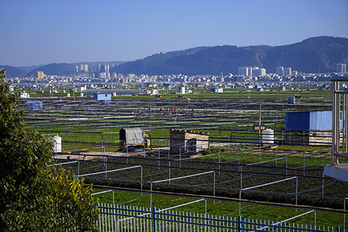 治杞麓湖生态难题 谋民生幸福之策3.jpg 治杞麓湖生态难题 谋民生幸福之策3.jpg