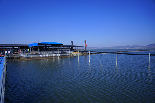 治杞麓湖生态难题 谋民生幸福之策4.jpg 治杞麓湖生态难题 谋民生幸福之策4.jpg