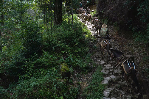 在云南腹地新平,读懂神秘哀牢1.jpg 在云南腹地新平,读懂神秘哀牢1.jpg