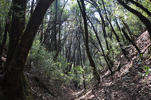 在云南腹地新平,读懂神秘哀牢2.jpg 在云南腹地新平,读懂神秘哀牢2.jpg