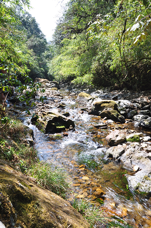 在云南腹地新平,读懂神秘哀牢6.jpg 在云南腹地新平,读懂神秘哀牢6.jpg