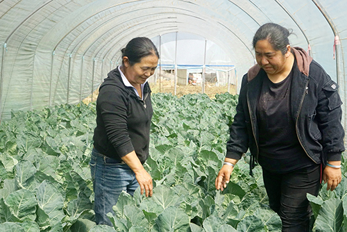 以水为墨绘振兴 履职为民践初心.jpg