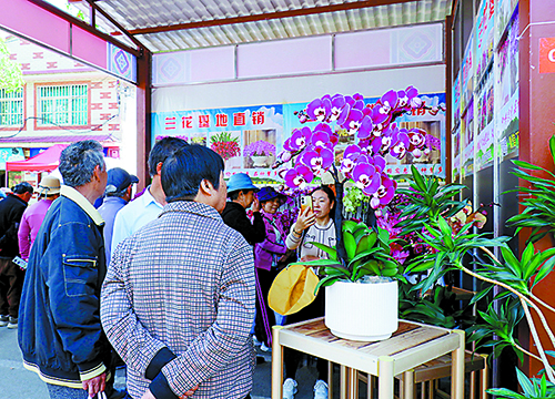 通海县第十九届迎春花街热闹开街