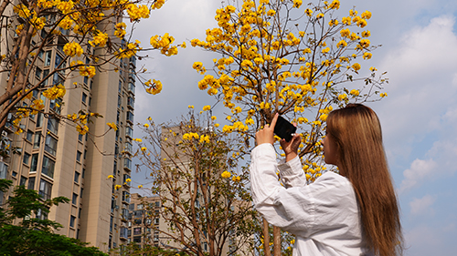 春日繁花开 美景入画来.jpg