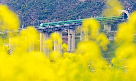 玉溪：构建现代化物流体系 大力发展开放型经济