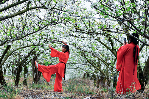 江川梨花节激活乡村旅游新活力1.jpg