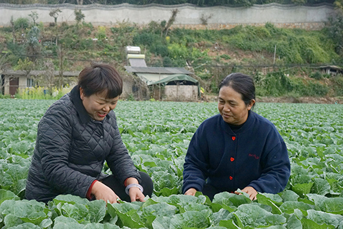 传递两会“好声音” 履职为民践初心.jpg
