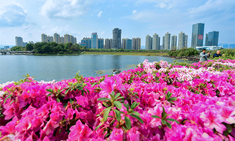 市民游客尽享春日美好时光