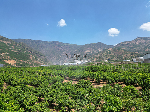 华宁山地农业“飞”出新高度.jpg 华宁山地农业“飞”出新高度.jpg